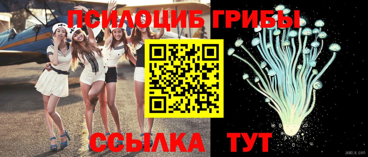 Камышлов  Галлюциногенные грибы Cubensis  Вход с VPN 