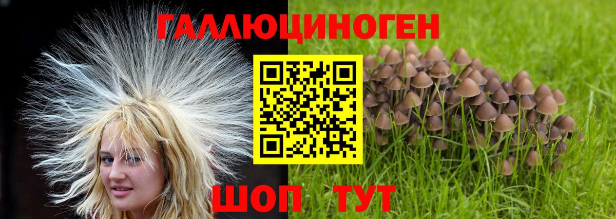 Псилоцибиновые грибы GOLDEN TEACHER Камышлов